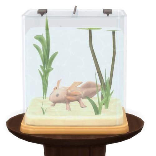 A screenshot from The Sims 4 showing a brown circle table with an axolotl habitat on top. Inside is a copper axolotl