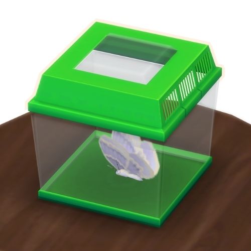 A screenshot from The Sims 4 showing a brown wooden table with a green insect container on top. Inside is a light purple butterfly
