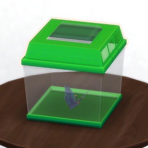 A screenshot from The Sims 4 showing a brown wooden table with a green insect container on top. Inside is a blue moth