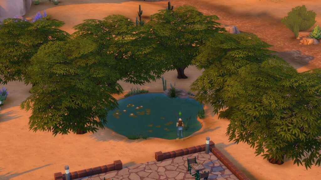 A screenshot from The Sims 4 showing the location of a pond in desert bloom park