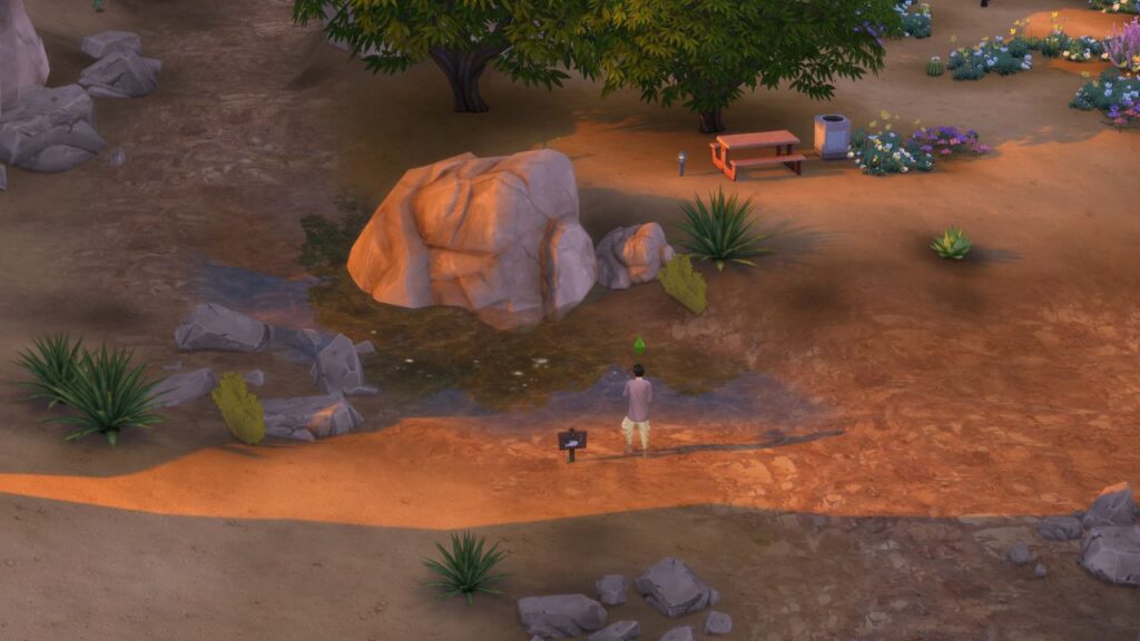 A screenshot from The Sims 4 showing the location of a fishing spot in the middle of desert bloom park