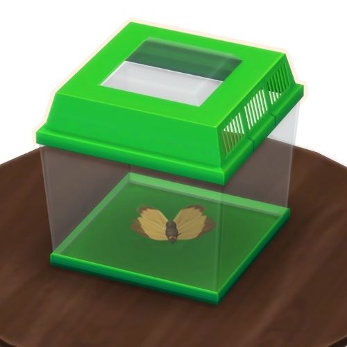 A screenshot from The Sims 4 showing a brown wooden table with a green insect container on top. Inside is a yellow butterfly