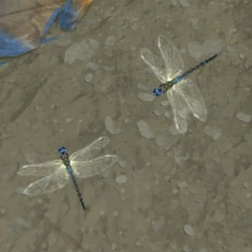 A screenshot from The Sims 4 showing two dragonflies