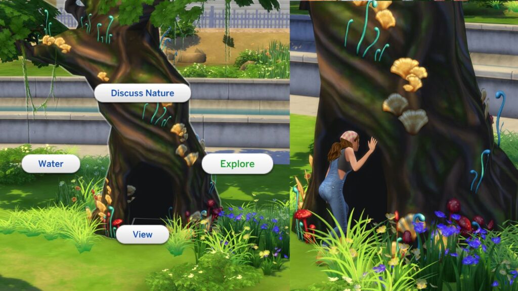 A screenshot from The Sims 4 showing the option to explore the Sylvan Glade tree and a sim entering it