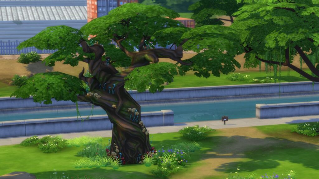 A screenshot from The Sims 4 showing a fishing spot next to the tree to get to sylvan glade