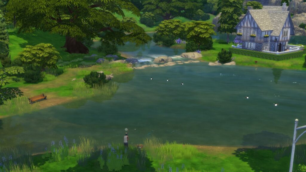 A screenshot from The Sims 4 showing a fishing spot in Windenburg located at a large pond near the free spirit household