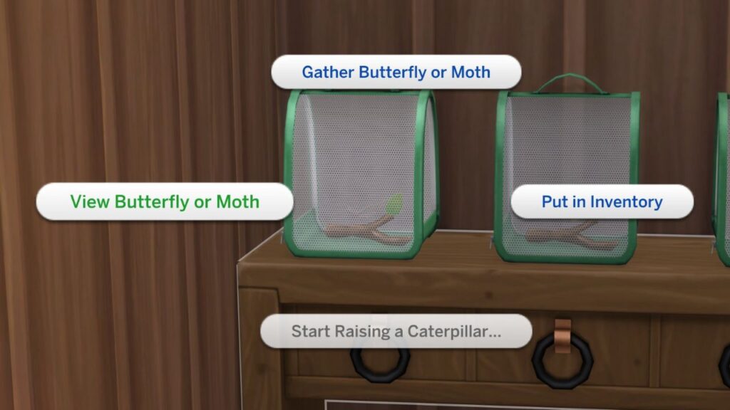 A screenshot from The Sims 4 showing how to view a butterfly or moth in an incubator 