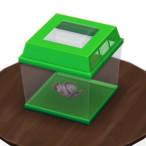 A screenshot from The Sims 4 showing a brown wooden table with a green insect container on top. Inside is a butterfly with cute wings
