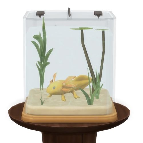 A screenshot from The Sims 4 showing a brown circle table with an axolotl habitat on top. Inside is a gold axolotl 