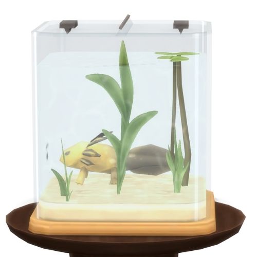 A screenshot from The Sims 4 showing a brown circle table with an axolotl habitat on top. Inside is a gold firefly axolotl 