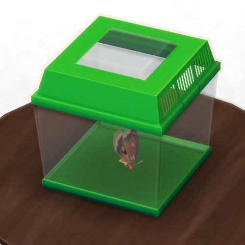 A screenshot from The Sims 4 showing a brown wooden table with a green insect container on top. Inside is a brown moth