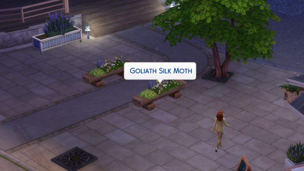 A screenshot from The Sims 4 showing the Goliath Silk Moth