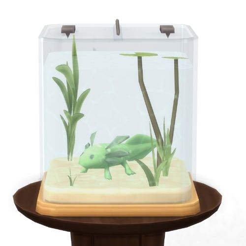 A screenshot from The Sims 4 showing a brown circle table with an axolotl habitat on top. Inside is a green axolotl