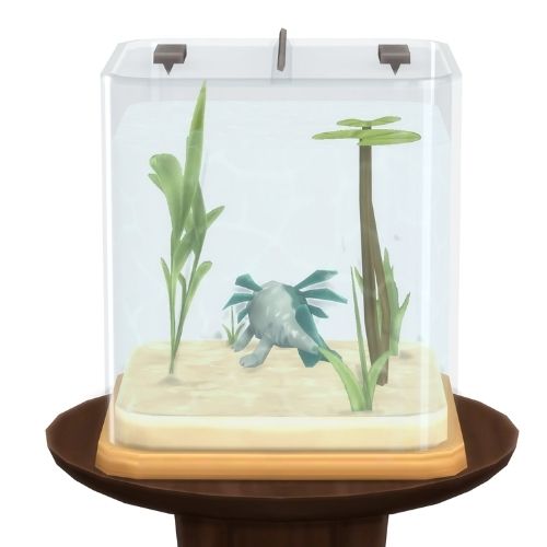 A screenshot from The Sims 4 showing a brown circle table with an axolotl habitat on top. Inside is a green chimera axolotl 