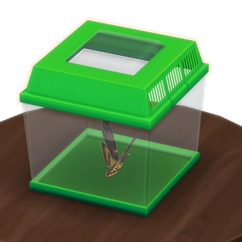 A screenshot from The Sims 4 showing a brown wooden table with a green insect container on top. Inside is a yellow and brown moth