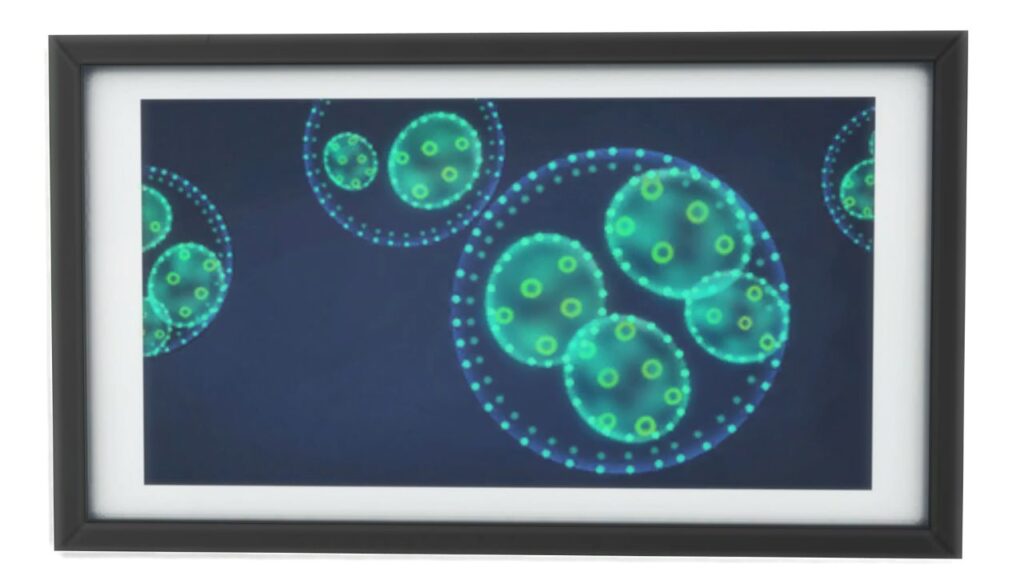 A screenshot from The Sims 4 of a black frame with an image of plankton cells 