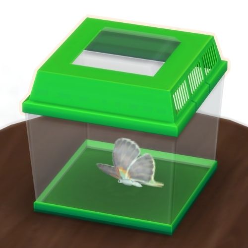 A screenshot from The Sims 4 showing a brown wooden table with a green insect container on top. Inside is a purple grey butterfly
