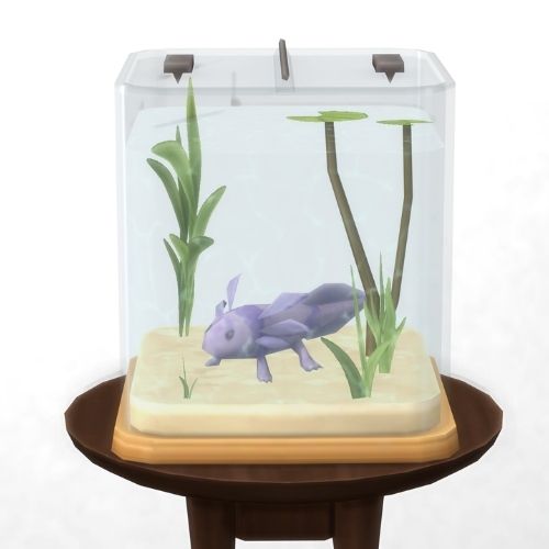 A screenshot from The Sims 4 showing a brown circle table with an axolotl habitat on top. Inside is a lavender axolotl