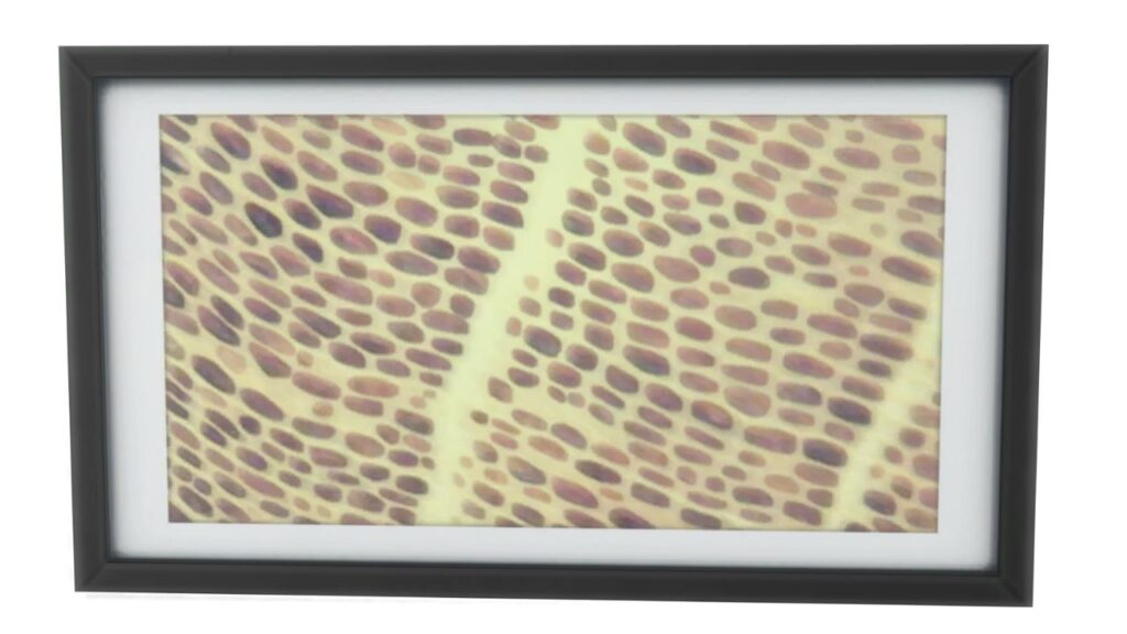 A screenshot from The Sims 4 of a black frame with an image of a plant under a microscope 