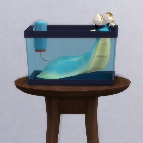 A screenshot from The Sims 4 showing a brown circle table with a terrarium on top and a live blue slug inside