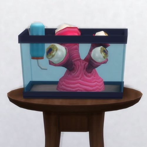 A screenshot from The Sims 4 showing a brown circle table with a terrarium on top and a live red coral alien on top