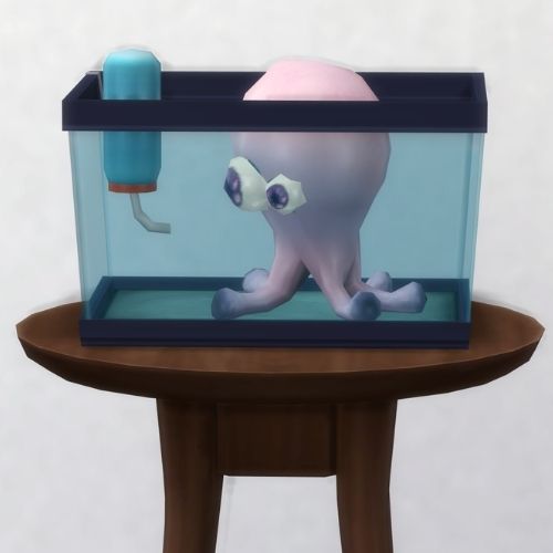 A screenshot from The Sims 4 showing a brown circle table with a terrarium on top and a live space squid sitting inside