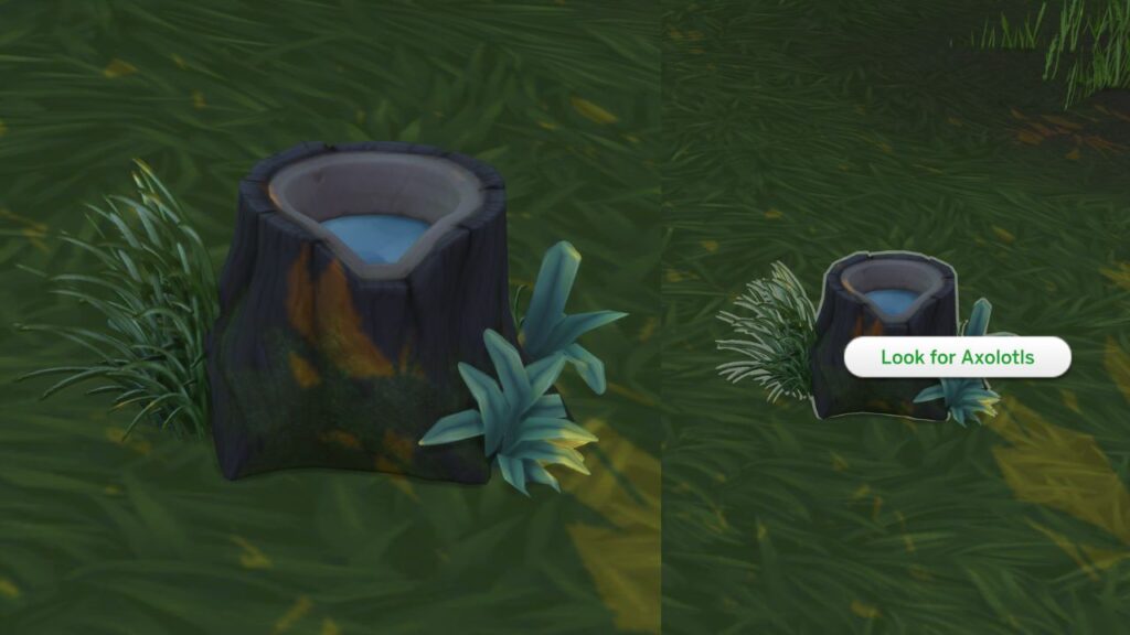 A screenshot from The Sims 4 showing an axolotl habitat and the option to look for axolotls is highlighted 
