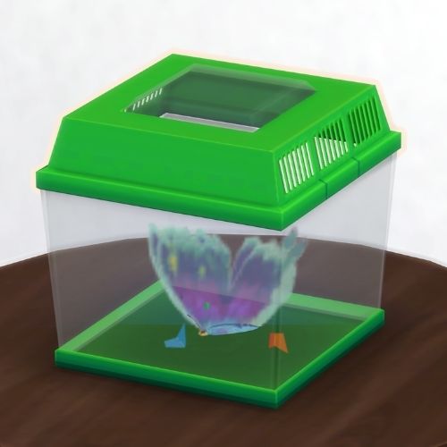 A screenshot from The Sims 4 showing a brown wooden table with a green insect container on top. Inside is a purple and blue origami butterfly