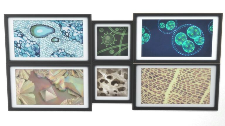 A screenshot from The Sims 4 showing the microscope print collection on a wall
