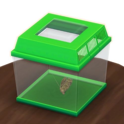 A screenshot from The Sims 4 showing a brown wooden table with a green insect container on top. Inside is a brown butterfly
