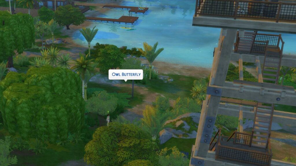A screenshot from The Sims 4 showing where to catch an owl butterfly