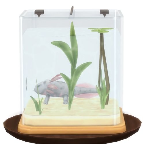 A screenshot from The Sims 4 showing a brown circle table with an axolotl habitat on top. Inside is a pink chimera axolotl 