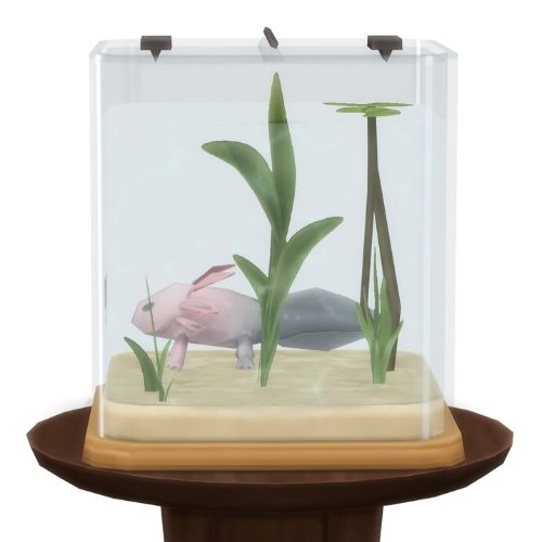 A screenshot from The Sims 4 showing a brown circle table with an axolotl habitat on top. Inside is a pink firefly axolotl 