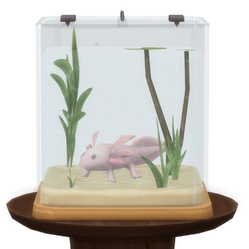 A screenshot from The Sims 4 showing a brown circle table with an axolotl habitat on top. Inside is a pink axolotl 