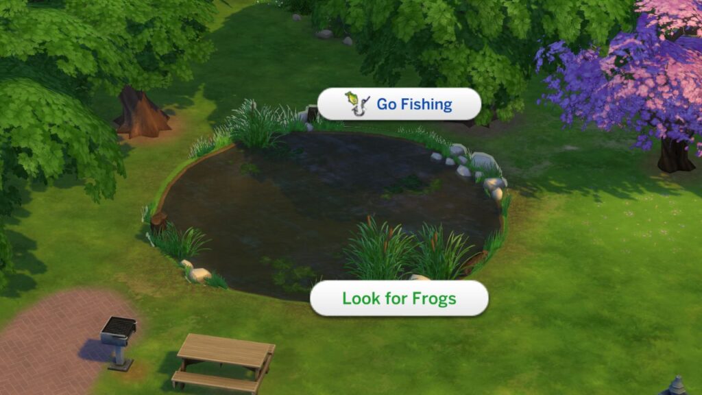 A screenshot from The Sims 4 showing the option to look for frogs on a pond inside of a park