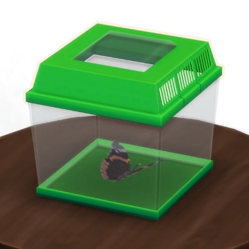 A screenshot from The Sims 4 showing a brown wooden table with a green insect container on top. Inside is a red admiral butterfly