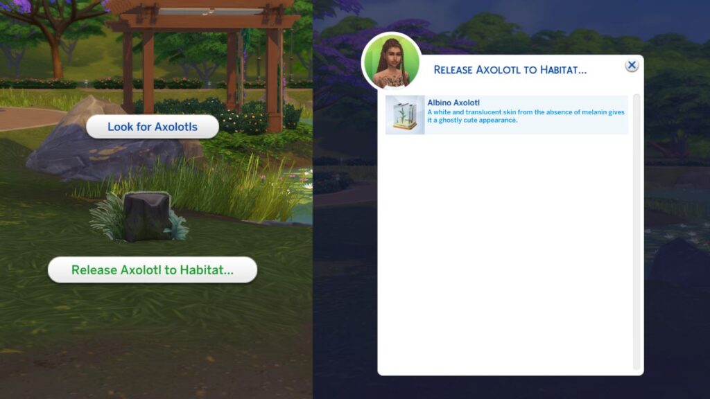 A screenshot from The Sims 4 showing how to release axolotls to habitat 
