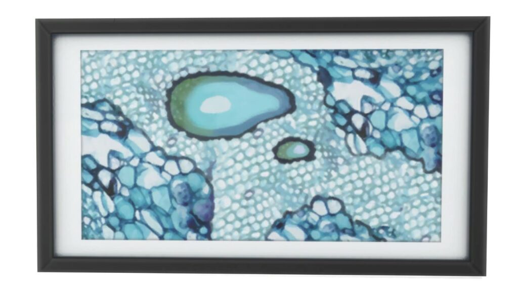 A screenshot from The Sims 4 of a black frame with an image of blue cells under a microscope 