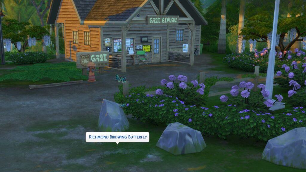 A screenshot from The Sims 4 showing the location of the Richmond Birdwing Butterfly in front of the Ranger's Station