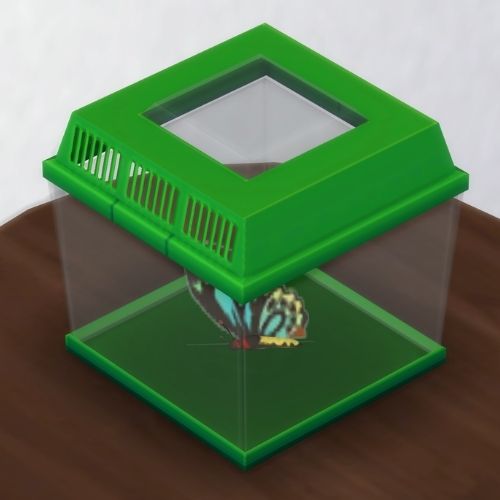 A screenshot from The Sims 4 showing a brown wooden table with a green insect container on top. Inside is a teal and yellow butterfly