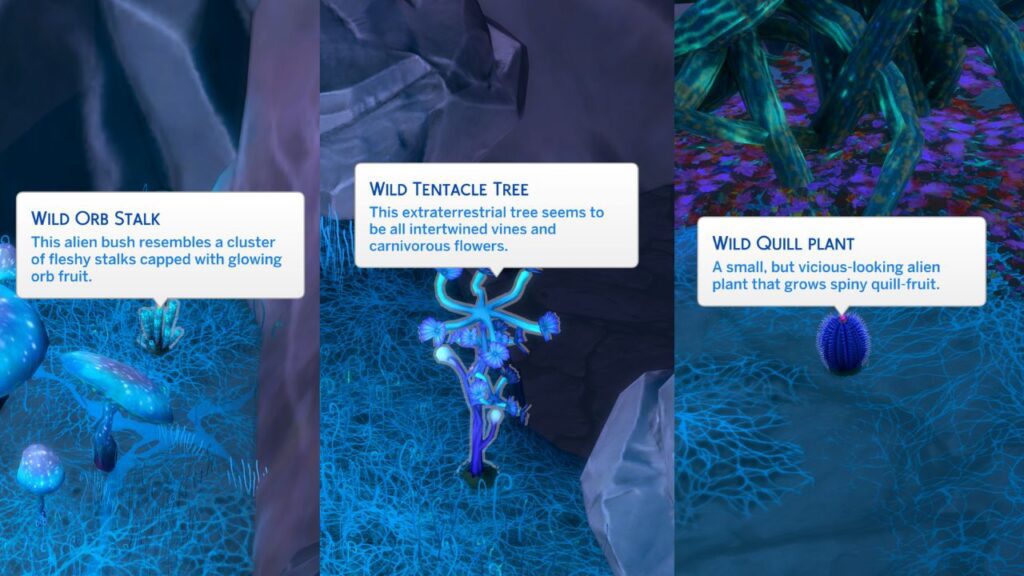 A screenshot from The Sims 4 showing the three types of plants in Sixam