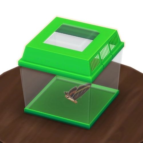 A screenshot from The Sims 4 showing a brown wooden table with a green insect container on top. Inside is a moth
