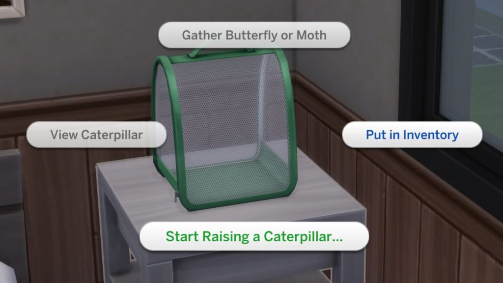 A screenshot from The Sims 4 showing how to start raising a caterpillar