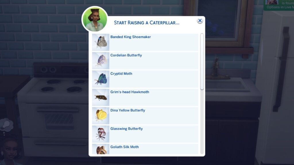 A screenshot from The Sims 4 showing the menu that opens to raise a caterpillar