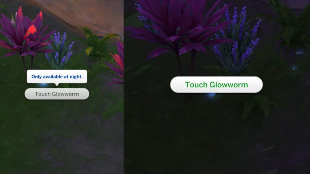 A screenshot from The Sims 4 showing the option to touch glowworm which is only available at night 