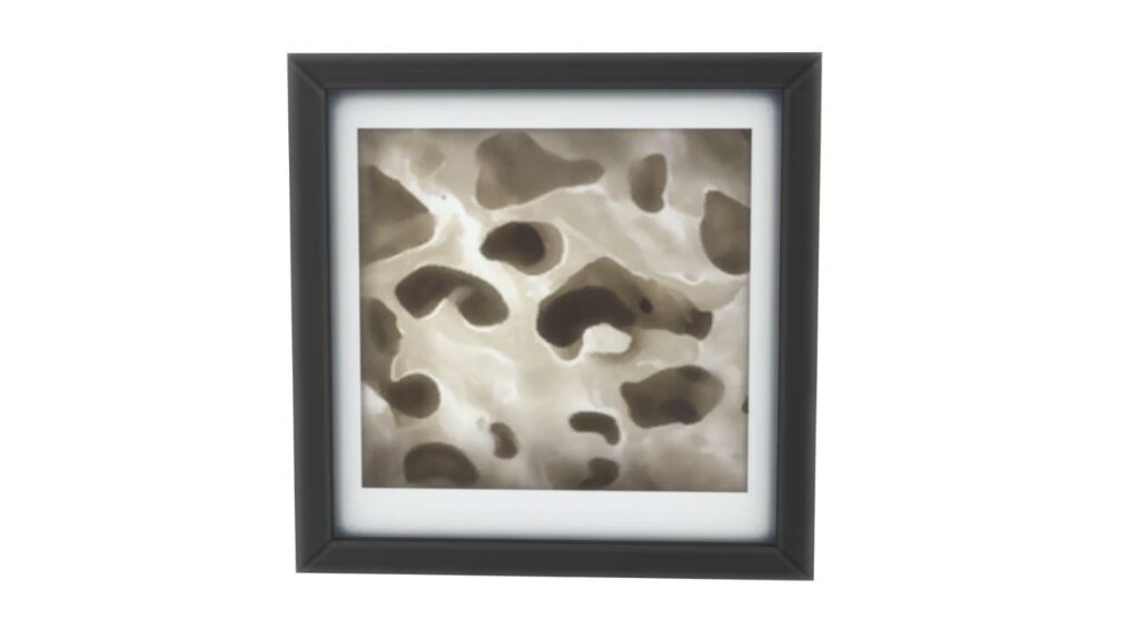 A screenshot from The Sims 4 of a black frame with an image of fossil under a microscope 