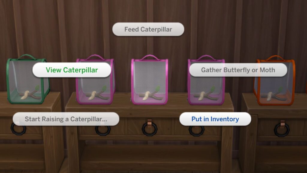 A screenshot from The Sims 4 showing the options on an incubator to view a caterpillar