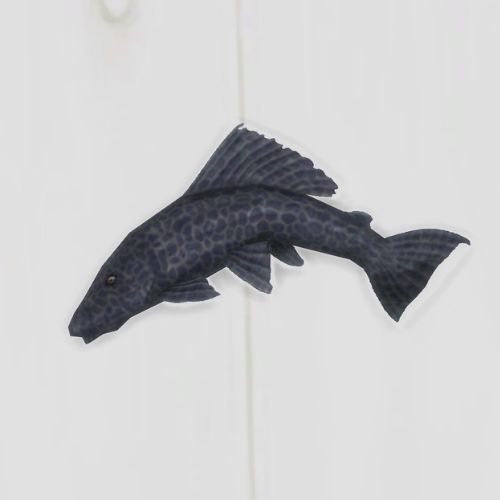 A screenshot from The Sims 4 showing a white floor with an armored catfish