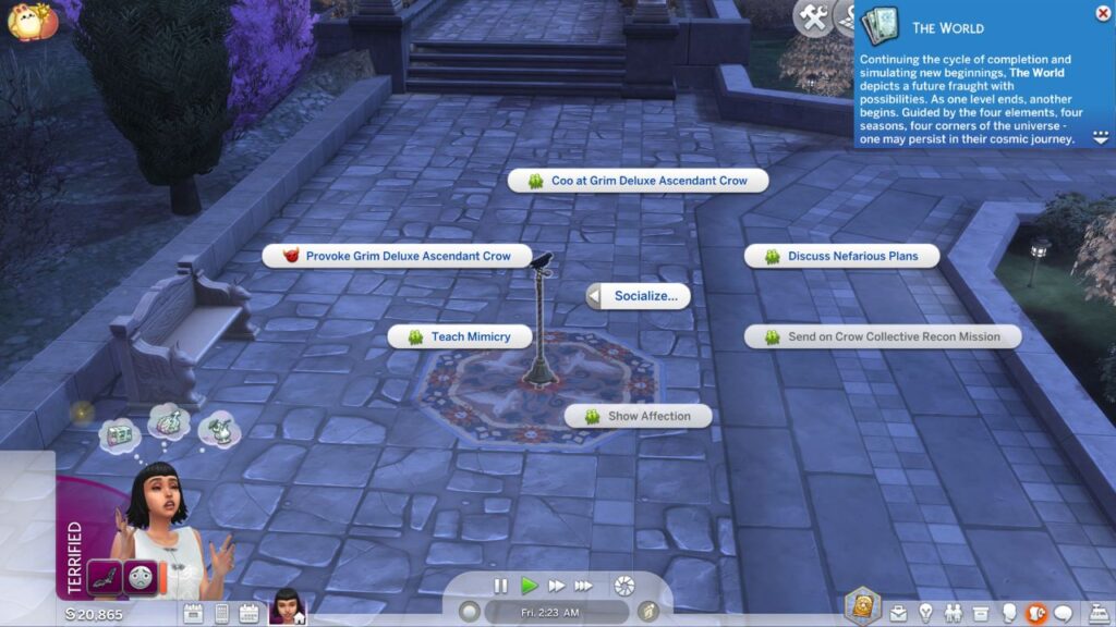 A screenshot from The Sims 4 showing how to socialize with a crow to get the world tarot