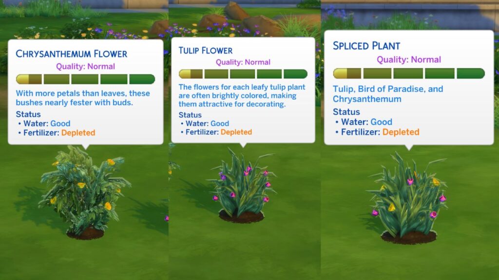 A screenshot from The Sims 4 showing the three stages of grafting for a bird of paradise